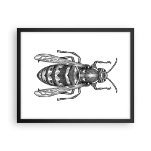 Affiche dans un cadre noir - Poster - D'une planète d'insectes - 50x40 cm