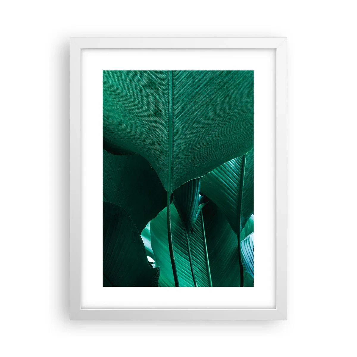 Affiche dans un cadre blanc - Poster - Tourné vers la lumière - 30x40 cm
