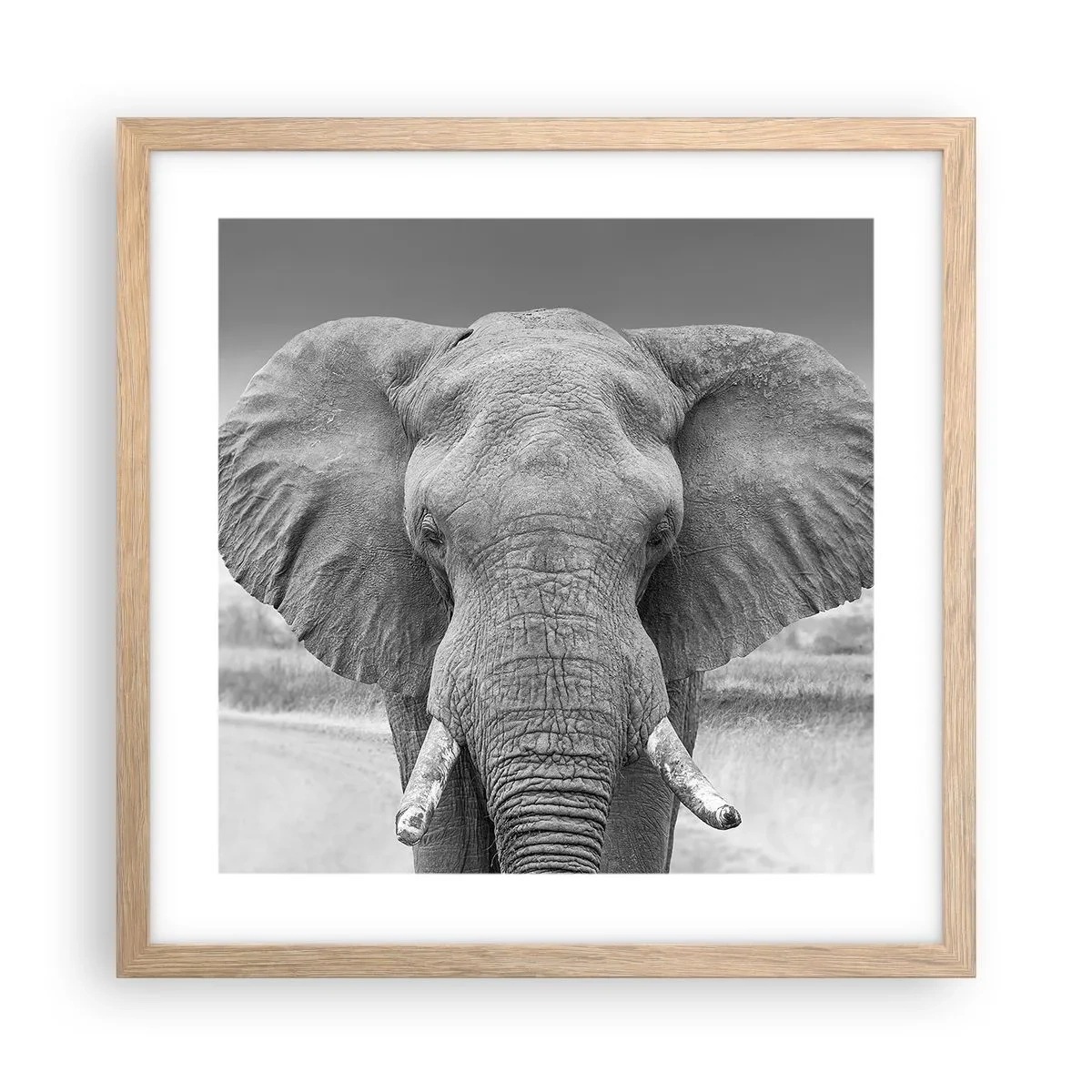 Affiche dans un chêne clair - Poster - Bienvenue dans mon monde - 40x40 cm