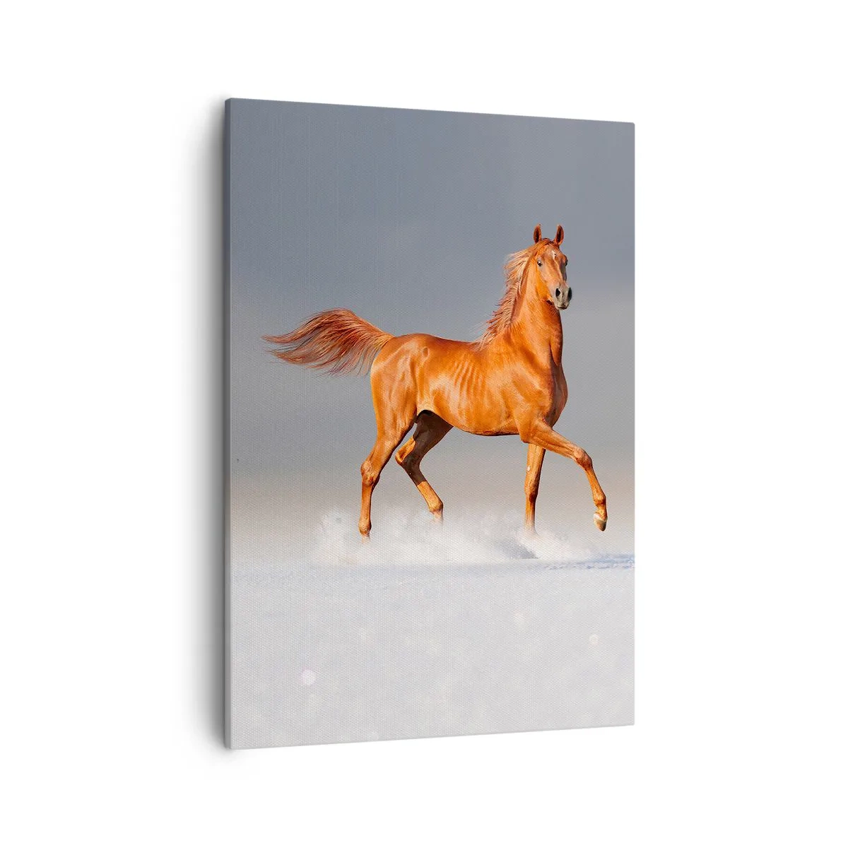 Impression sur toile - Image sur toile - Un cheval au galop contre un ciel bleu - 50x70cm - La grâce dansante - Décoration murale moderne pour le salon et la chambre ARTTOR