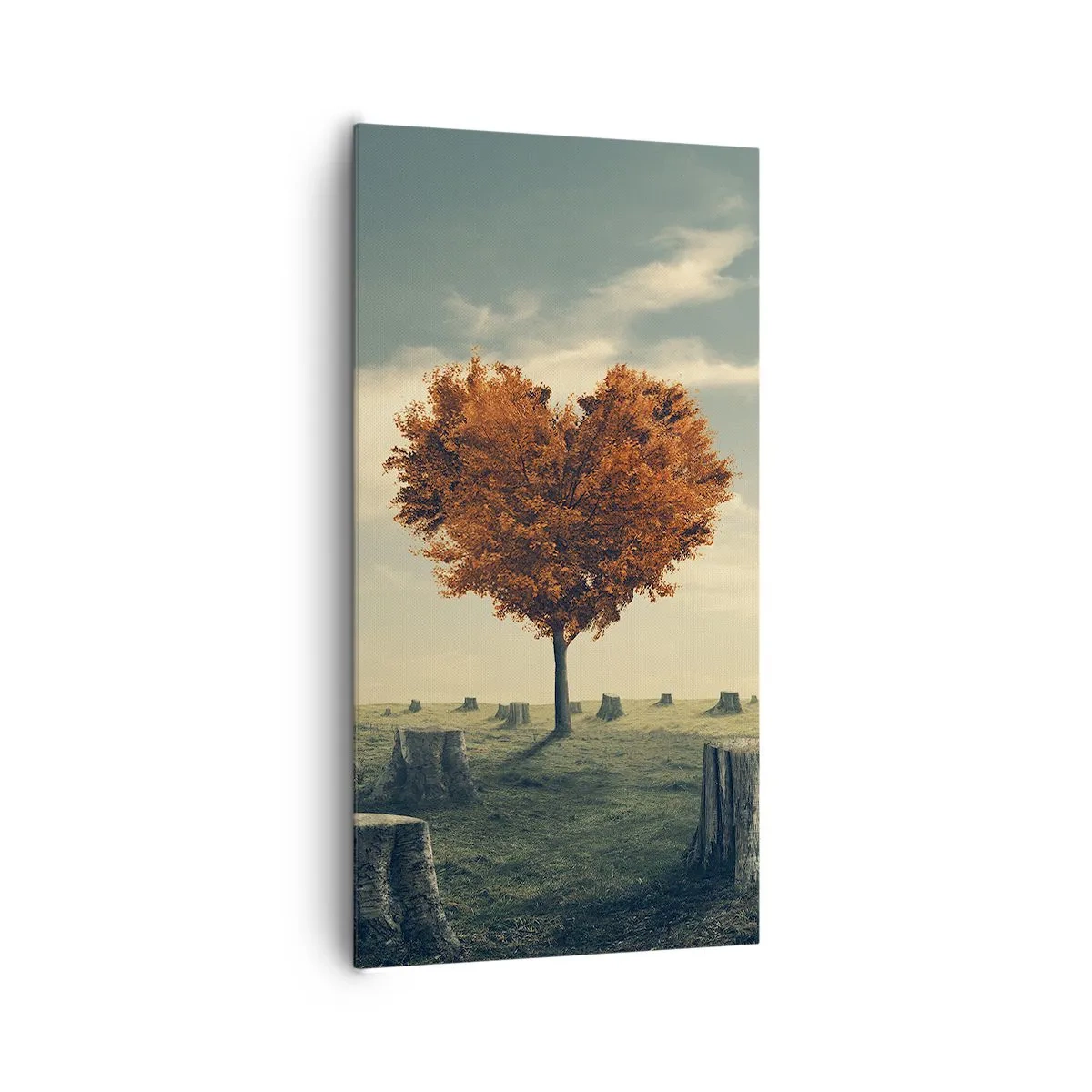 Impression sur toile - Image sur toile - Il y a toujours de l'espoir - 65x120 cm