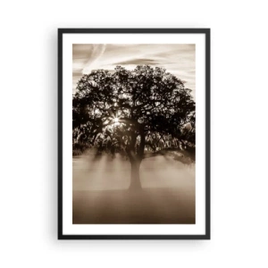 Affiche dans un cadre noir - Poster - Arbre dans le brouillard avec des rayons de lumière - 50x70cm - Arbre de bonnes nouvelles - Décoration murale moderne pour le salon et la chambre ARTTOR