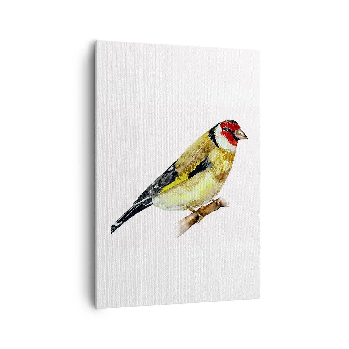 Impression sur toile - Image sur toile - Un oiseau à tête rouge sur une branche - 70x100cm - Portrait d'oiseau - Décoration murale moderne pour le salon et la chambre ARTTOR