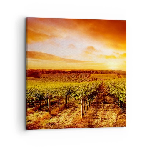 Impression sur toile - Image sur toile - Légèrement fruité avec une pointe de soleil - 70x70 cm