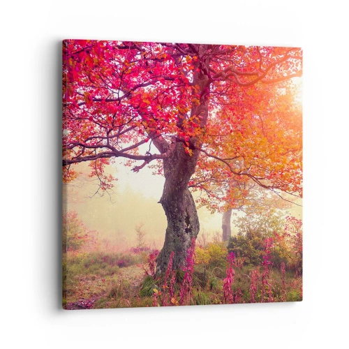 Impression sur toile - Image sur toile - Frénésie de floraison - 40x40 cm