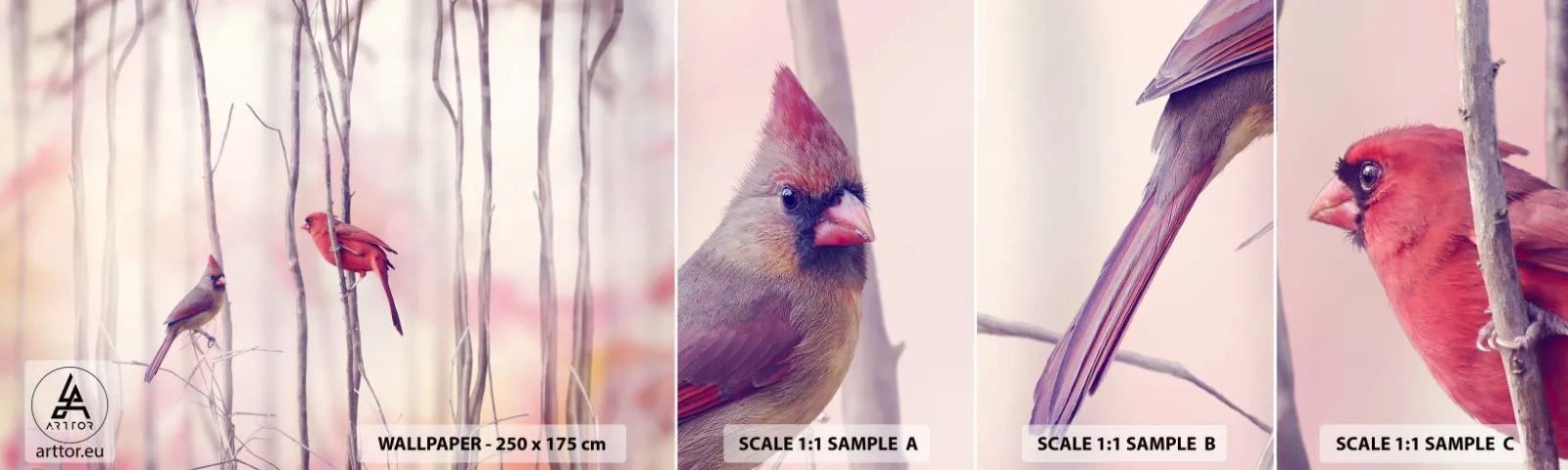 Échantillon de Papier Peint Autocollant Deluxe Sticker - Conte de la forêt rose - Oiseau, Nature, Forêt - 100x30 cm