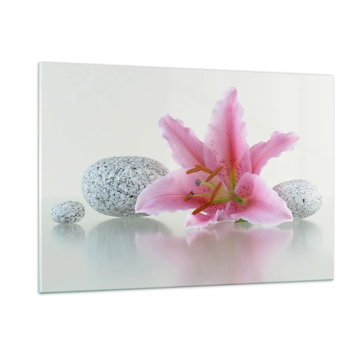 Impression sur verre - Image sur verre - Lys rose sur fond de pierres blanches dans un style spa - 120x80cm - Étude de rose, gris et blanc - Décoration murale moderne pour le salon et la chambre ARTTOR