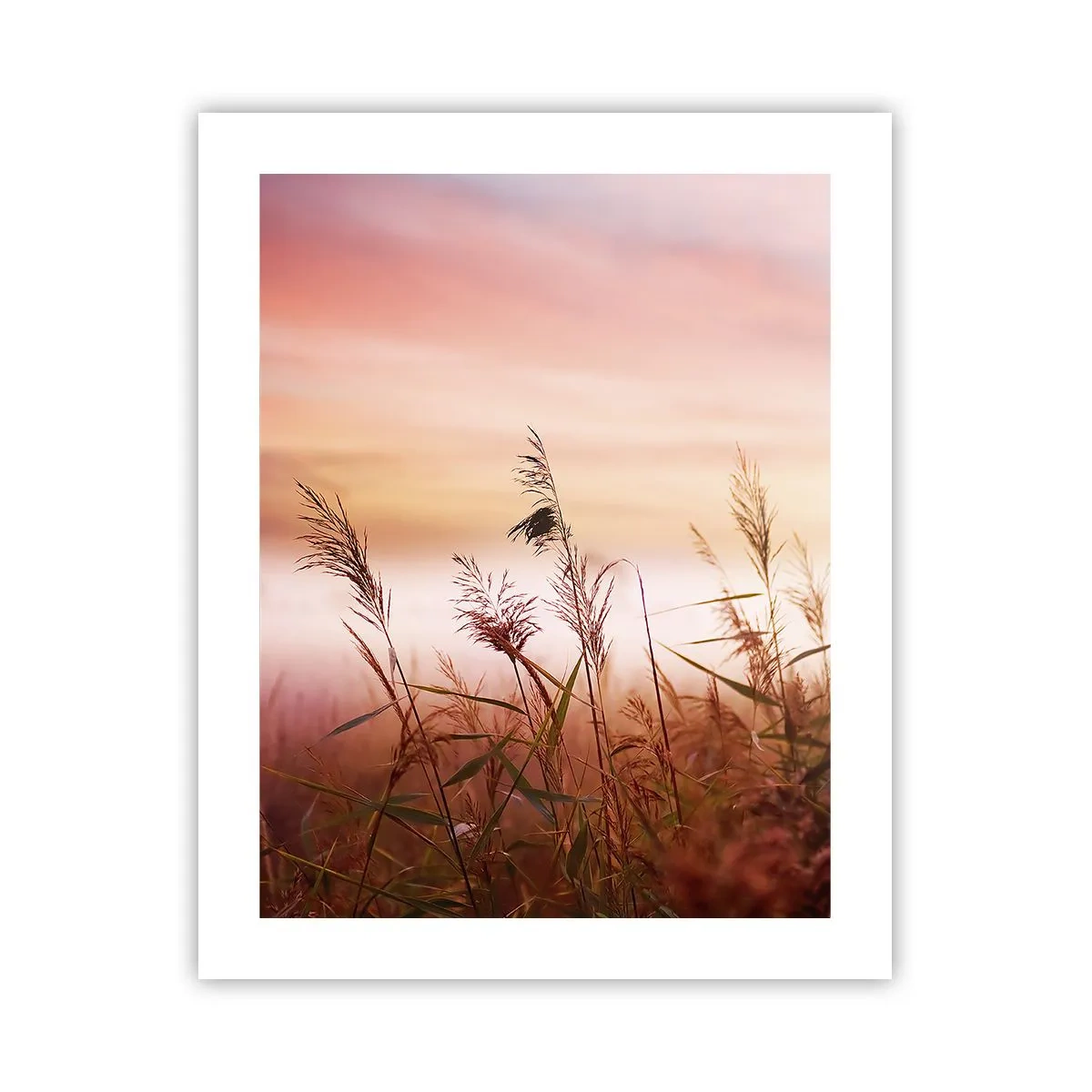 Affiche - Poster - Cerfs-volants, pissenlits, vent - 40x50 cm