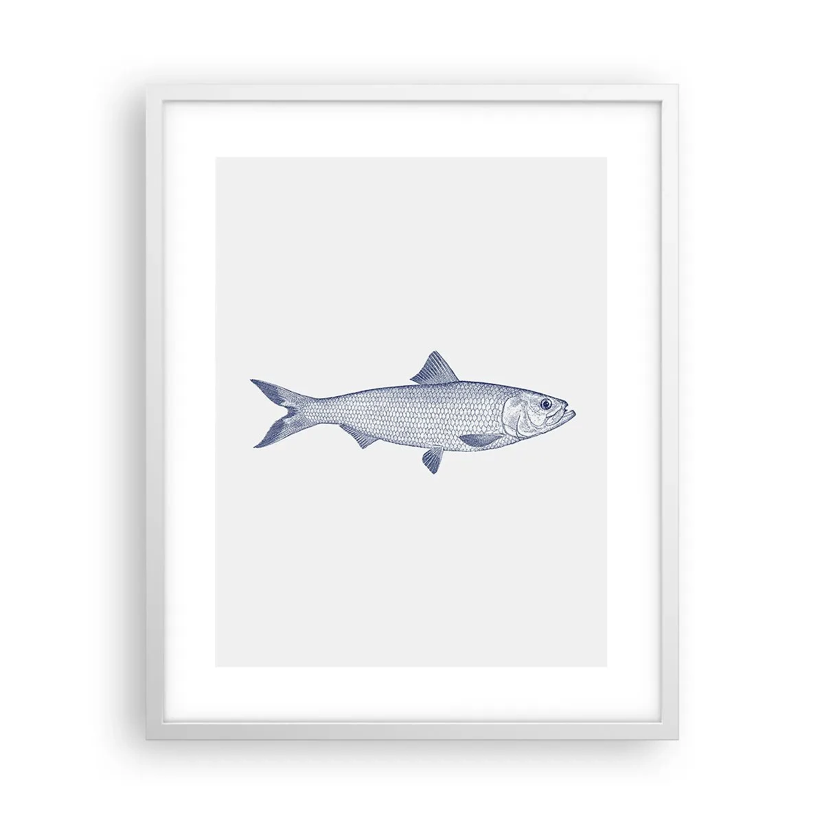 Affiche dans un cadre blanc - Poster - Salutations des mers du nord - 40x50 cm