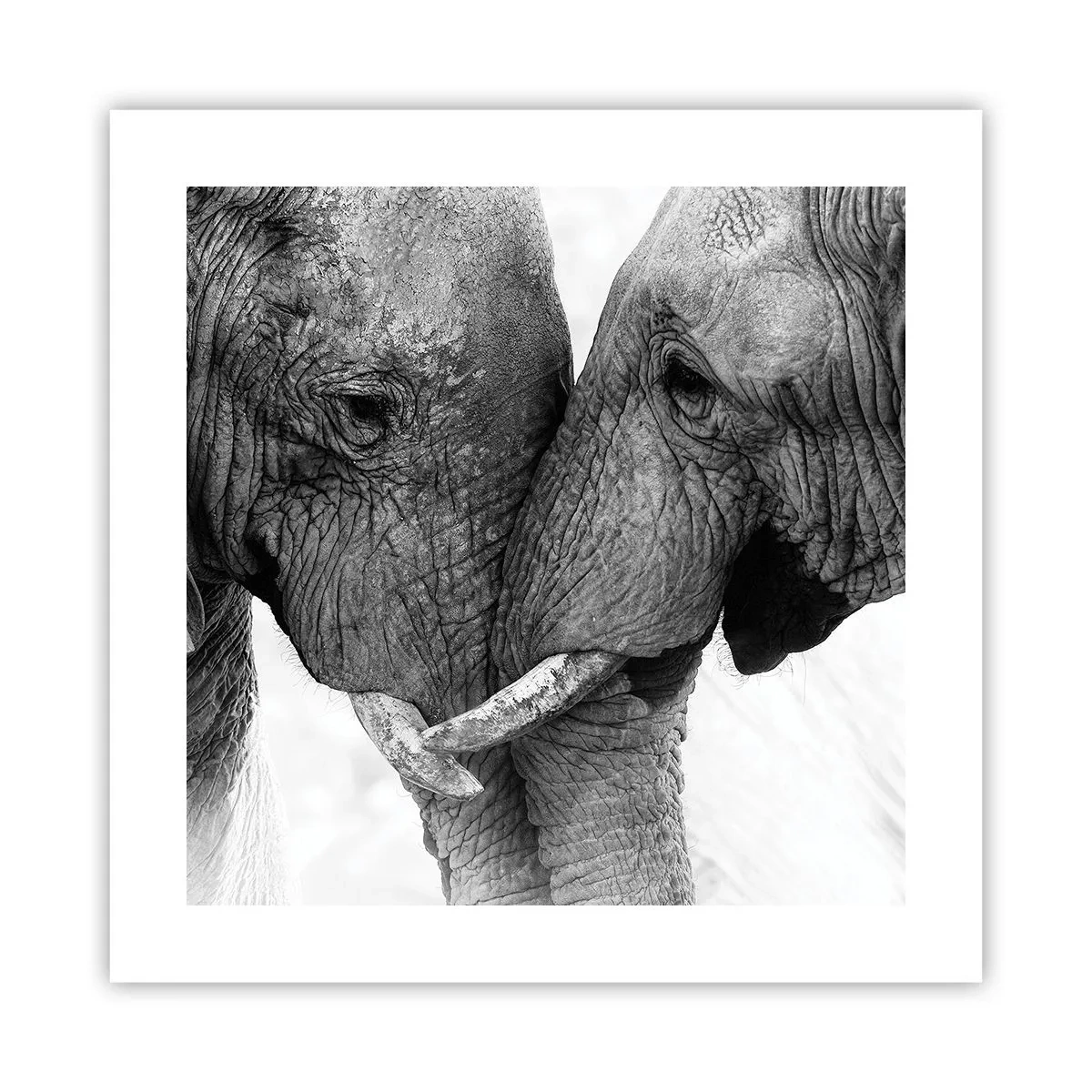 Affiche - Poster - Confession sincère - 40x40 cm