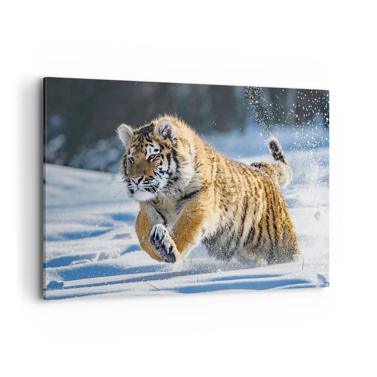 Impression sur toile - Image sur toile - Un tigre de Sibérie courant dans un paysage enneigé - 120x80cm - Dieu de la taïga sibérienne - Décoration murale moderne pour le salon et la chambre ARTTOR