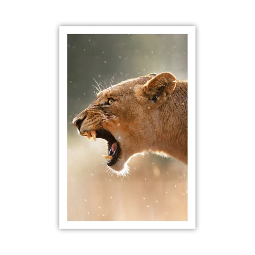 Affiche - Poster - Essayez de ne pas écouter - 61x91 cm