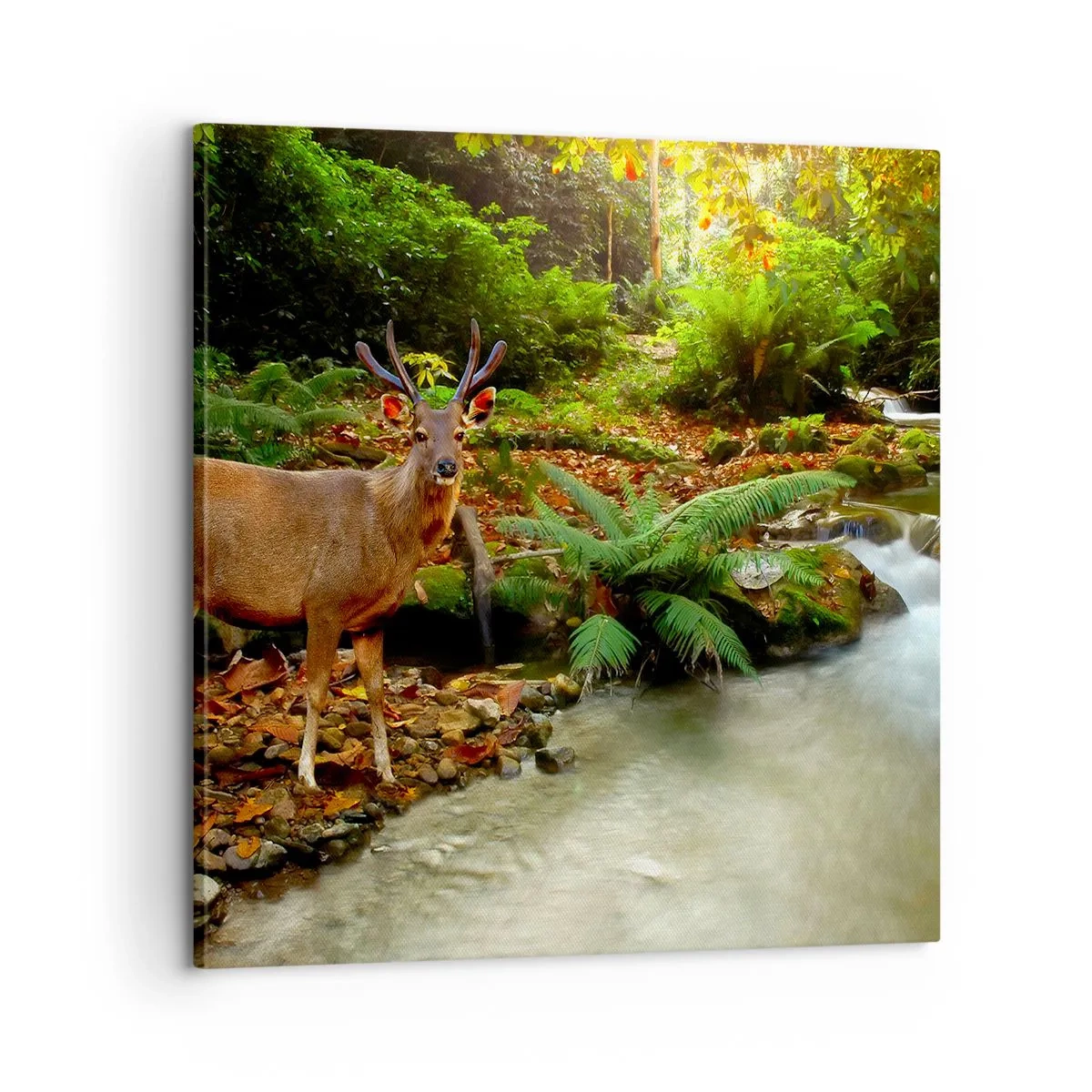 Impression sur toile - Image sur toile - Bienvenue dans mon monde - 60x60 cm