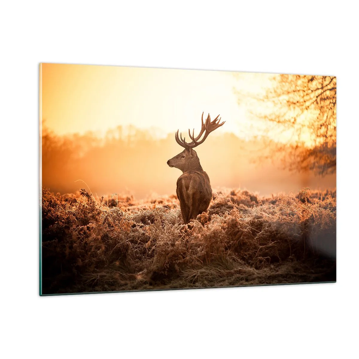 Impression sur verre - Image sur verre - Cerf sur fond de lever de soleil dans un paysage naturel - 120x80cm - Seigneur du domaine - Décoration murale moderne pour le salon et la chambre ARTTOR