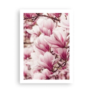 Affiche - Poster - Magnolias romantiques en fleurs d'un rose délicat - 50x70cm - Le printemps est rose - Décoration murale moderne pour le salon et la chambre ARTTOR