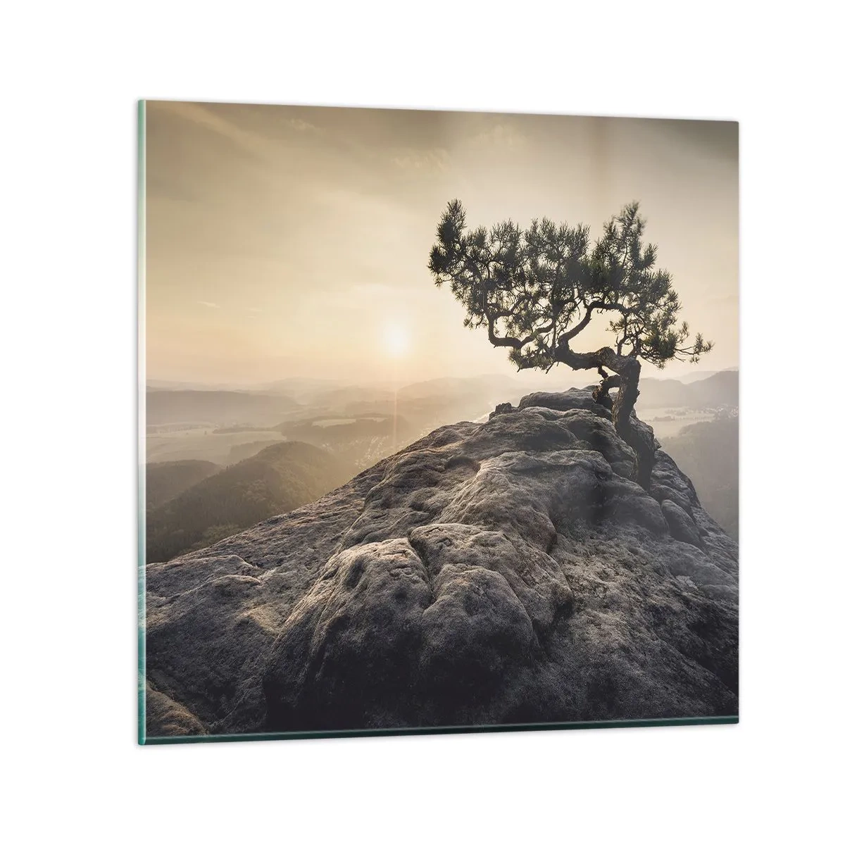 Impression sur verre - Image sur verre - La vie gagne toujours - 60x60 cm