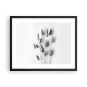 Affiche dans un cadre noir - Poster - Son herbe duveteuse - 50x40 cm