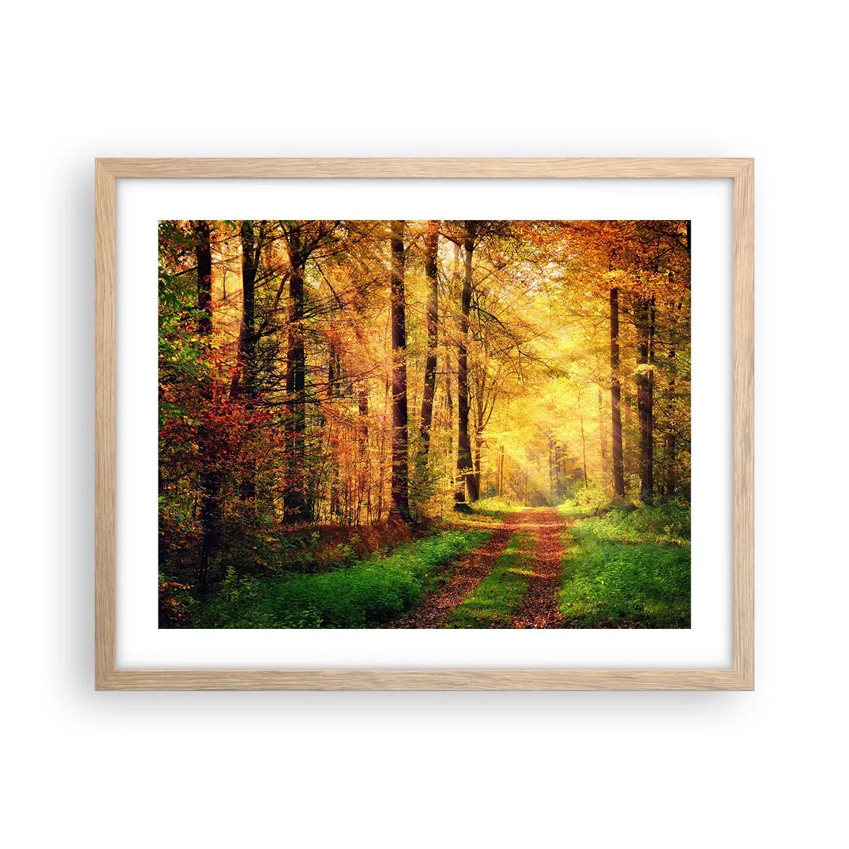Affiche dans un chêne clair - Poster - Silence d'or en forêt - 50x40 cm