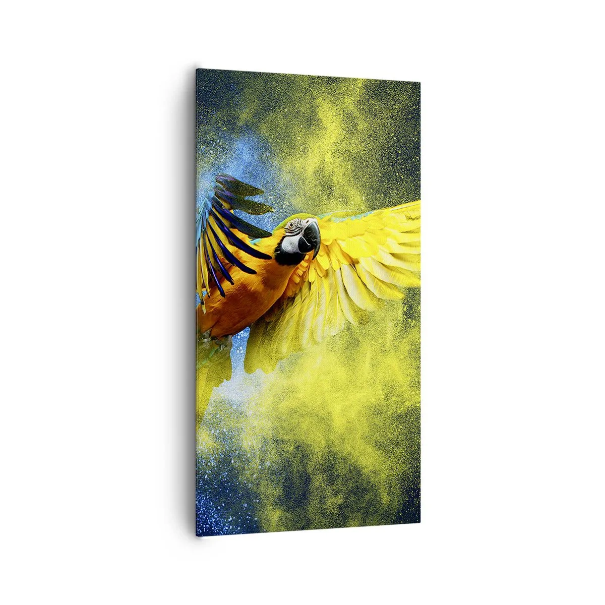 Impression sur toile - Image sur toile - Dans la poussière bleue et dorée - 65x120 cm