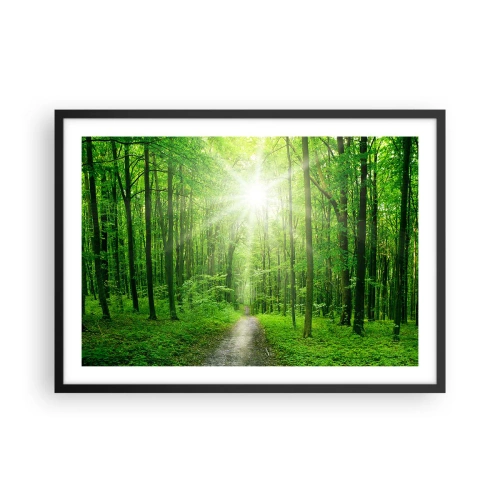 Affiche dans un cadre noir - Poster - Chemin dans la forêt avec les rayons du soleil - 70x50cm - Cathédrale verte - Décoration murale moderne pour le salon et la chambre ARTTOR