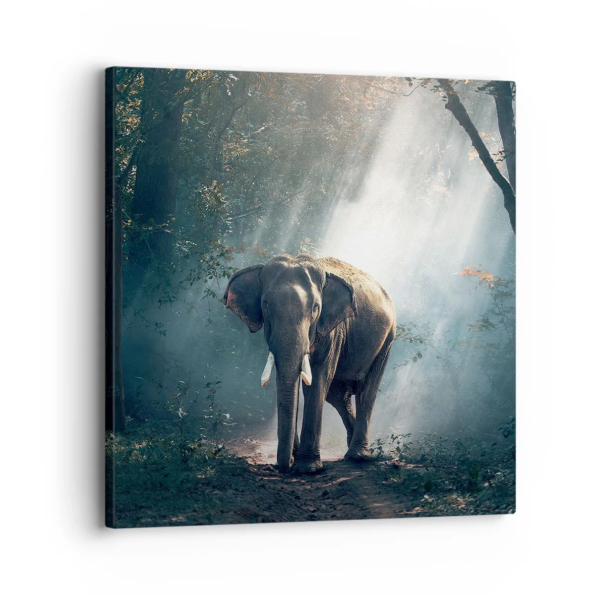 Impression sur toile - Image sur toile - Une balade tranquille - 30x30 cm