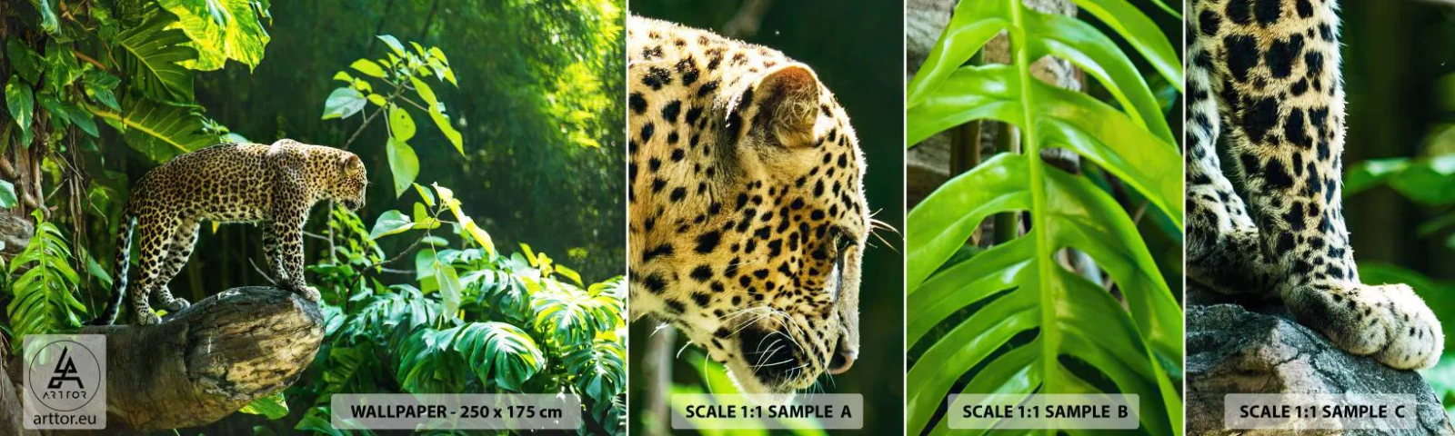 Échantillon de Papier Peint Autocollant Deluxe Sticker - À la chasse? - Jungle, léopard, Tropiques - 100x30 cm