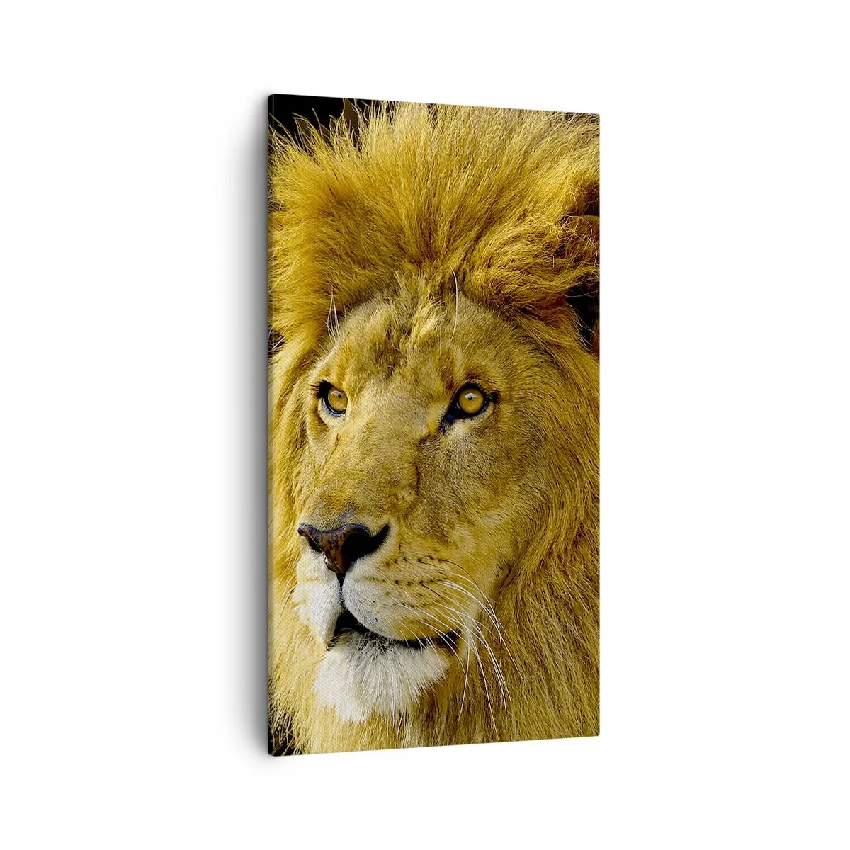 Impression sur toile - Image sur toile - Portrait de roi - 45x80 cm