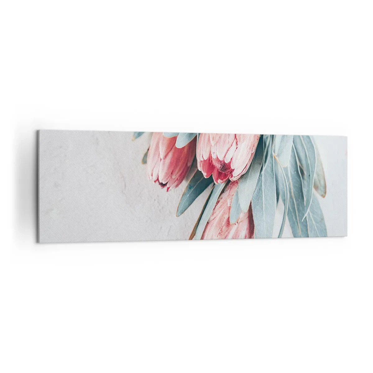 Impression sur toile - Image sur toile - Fleurs de protéa roses subtiles sur fond clair - 160x50cm - Honte de leur propre beauté - Décoration murale moderne pour le salon et la chambre ARTTOR
