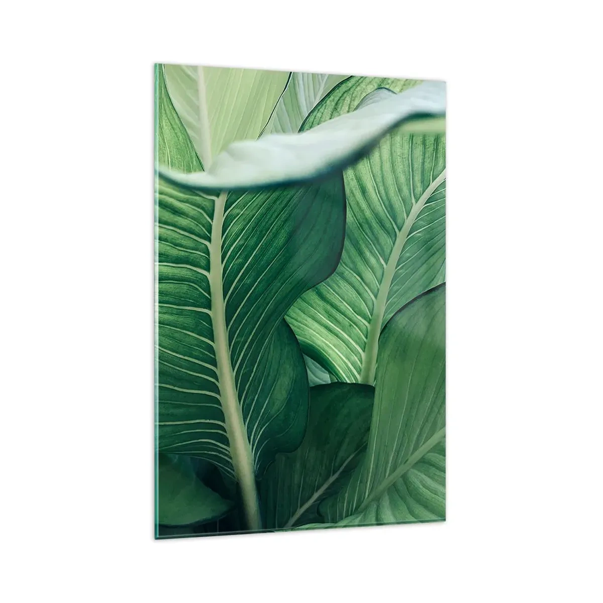 Impression sur verre - Image sur verre - Feuilles vertes avec des détails et une structure expressifs - 80x120cm - Une vie intensément verte - Décoration murale moderne pour le salon et la chambre ARTTOR