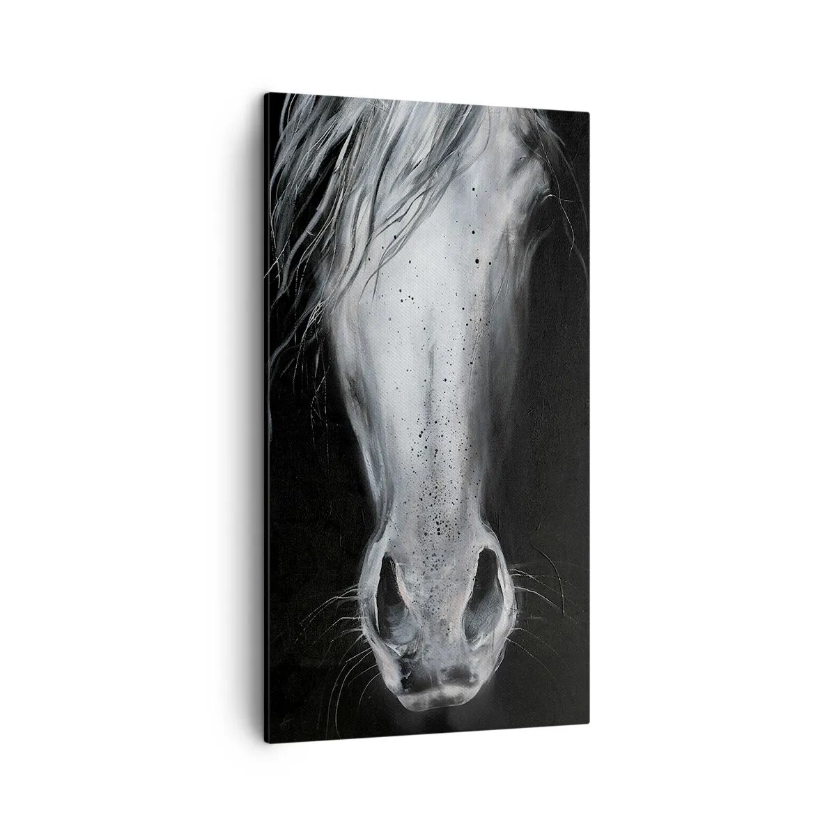 Impression sur toile - Image sur toile - Regard séduisant - 45x80 cm