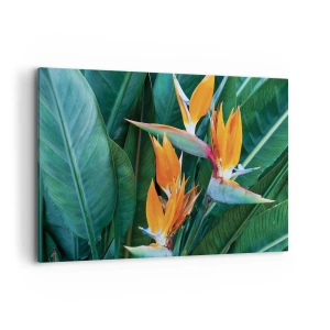 Impression sur toile - Image sur toile - Fleurs de strelitzia exotiques entourées de feuilles vertes - 100x70cm - Est-ce une fleur, est-ce un oiseaux? - Décoration murale moderne pour le salon et la chambre ARTTOR