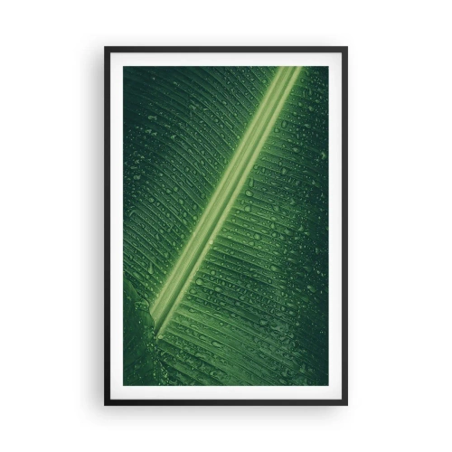 Affiche dans un cadre noir - Poster - Structure de vert - 61x91 cm