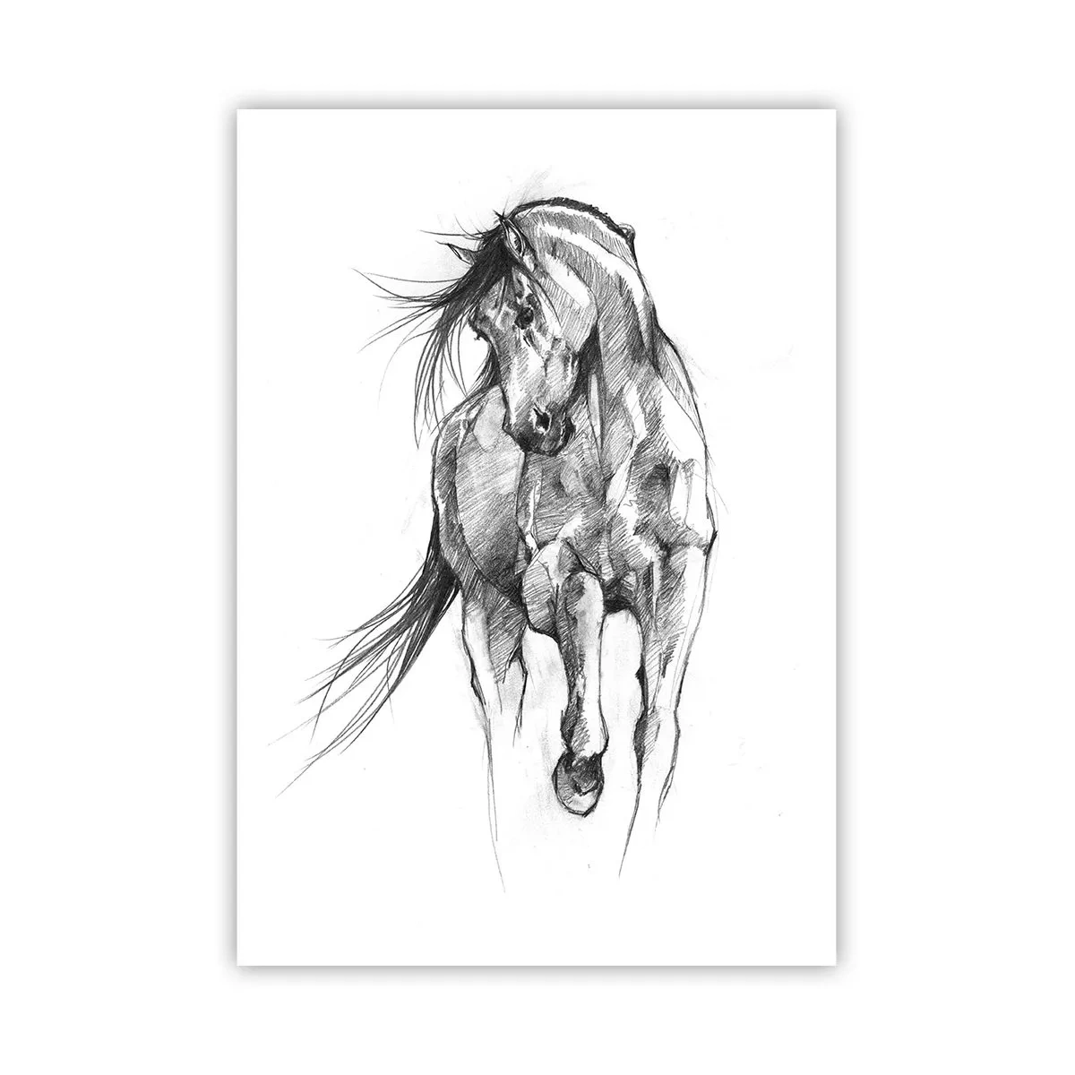 Affiche - Poster - D'un trot gracieux - 70x100 cm