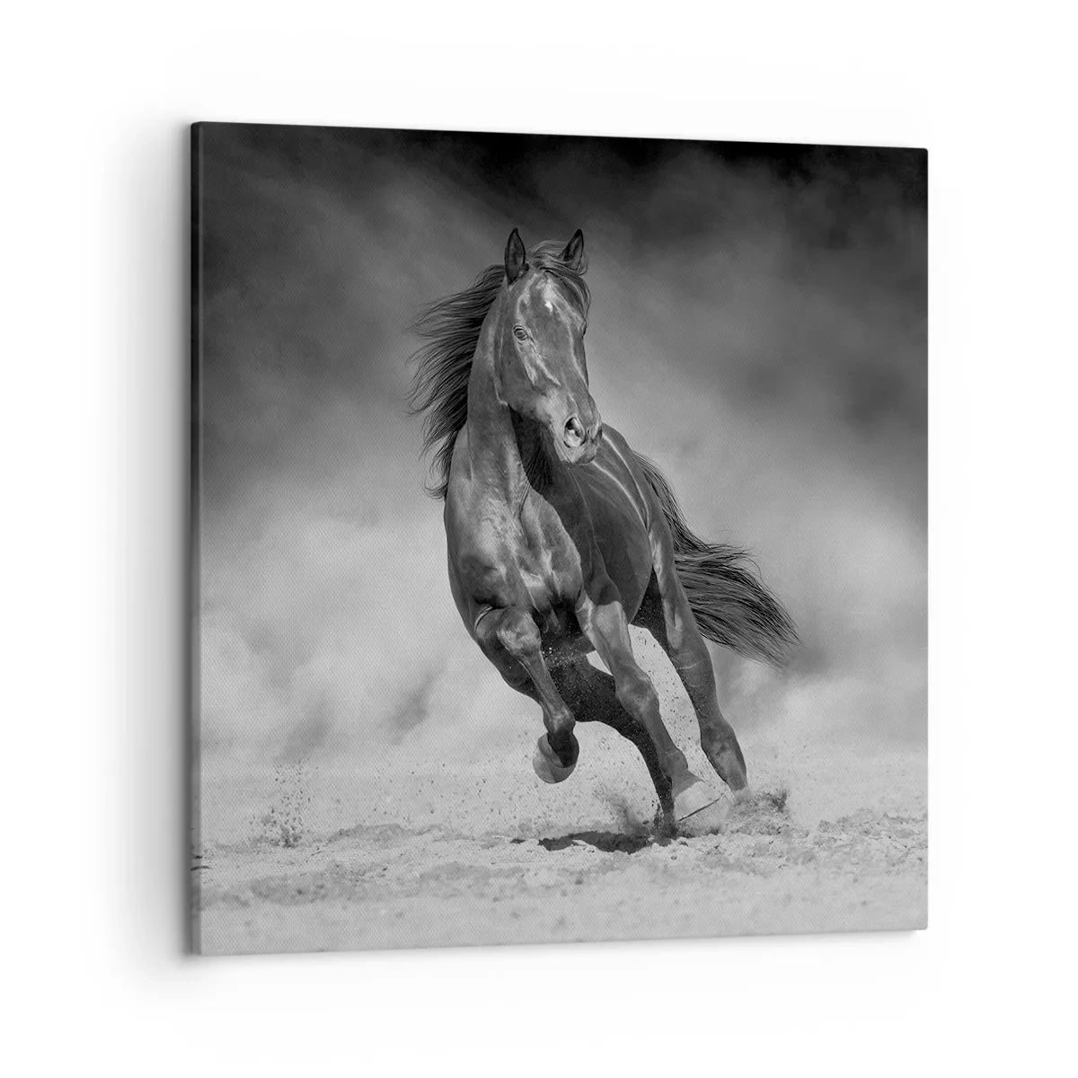 Impression sur toile - Image sur toile - Digne de l'émir lui-même - 50x50 cm