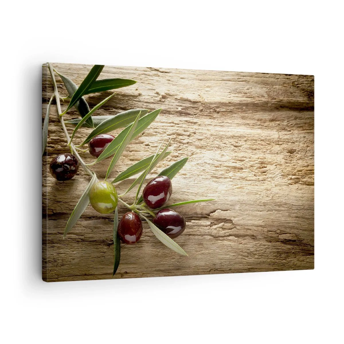 Impression sur toile - Image sur toile - Branche d'olivier avec des fruits sur un fond de bois vieilli - 70x50cm - Directement de la nature - Décoration murale moderne pour le salon et la chambre ARTTOR