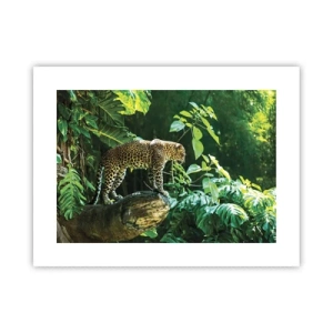 Affiche - Poster - À la chasse? - 40x30 cm