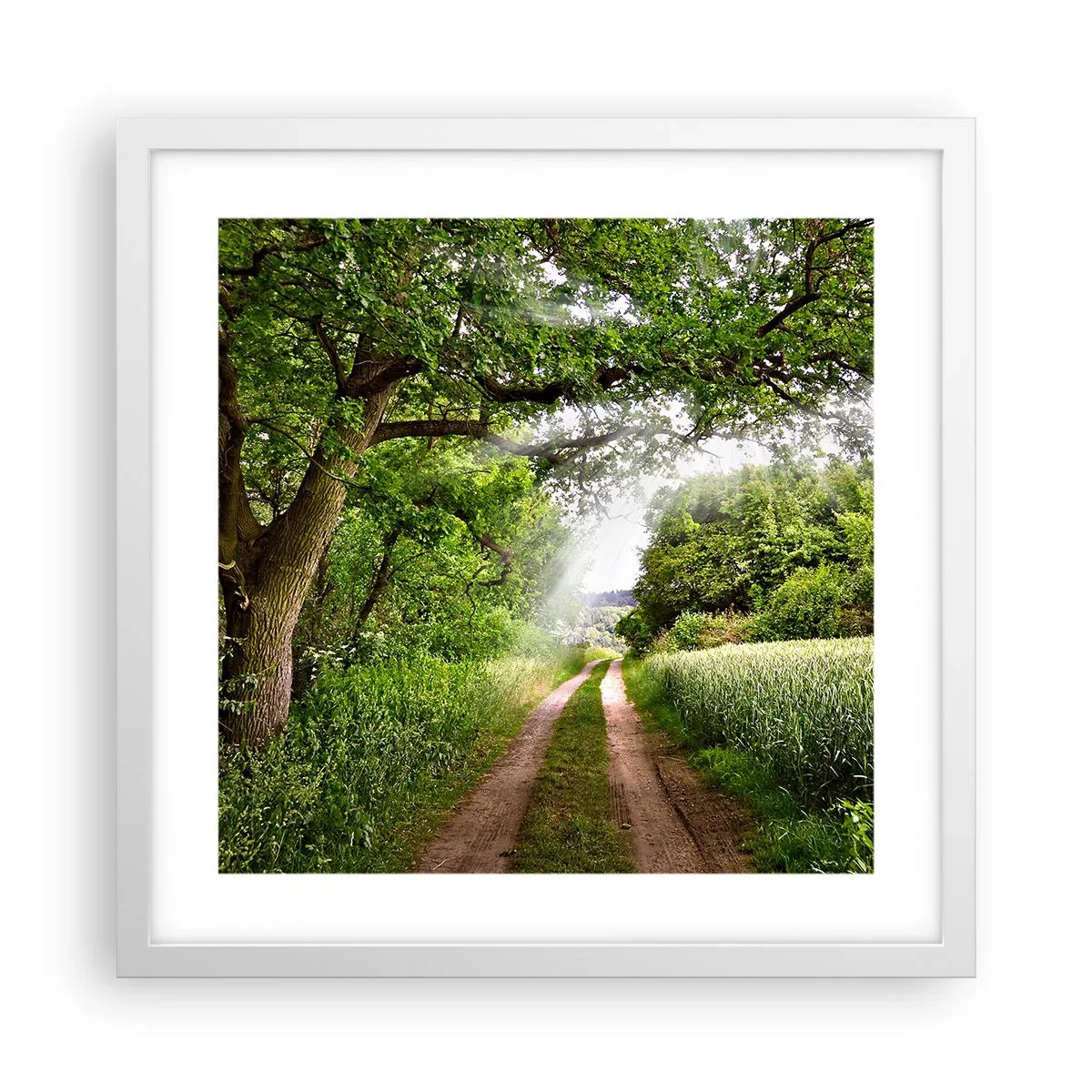 Affiche dans un cadre blanc - Poster - Et in Arcadia ego - 40x40 cm