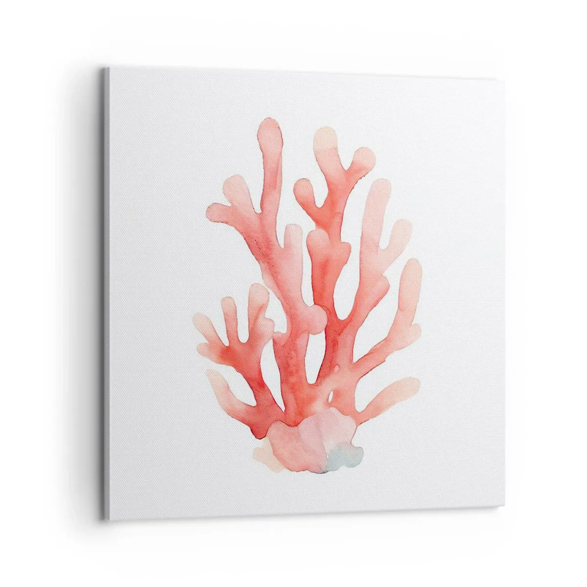 Impression sur toile - Image sur toile - Corail couleur corail - 60x60 cm