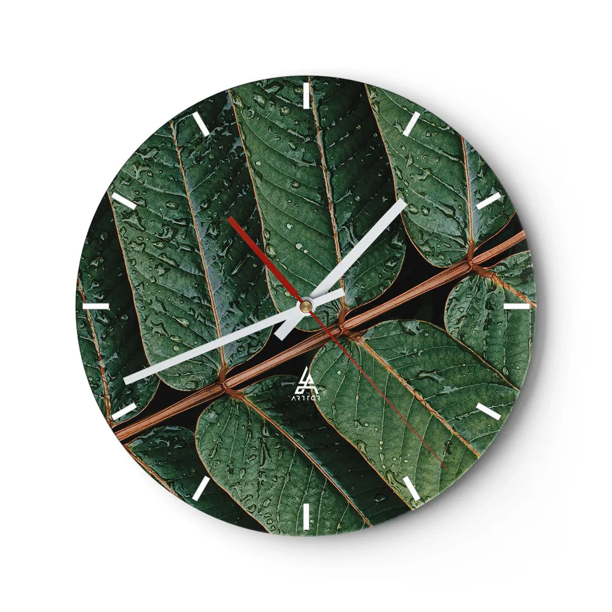 Horloge murale - Pendule murale - Gros plan de feuilles avec des gouttes d'eau sur un fond sombre - 30x30cm - Au rythme de la verdure - Décoration murale moderne pour le salon, la cuisine et la chambre ARTTOR