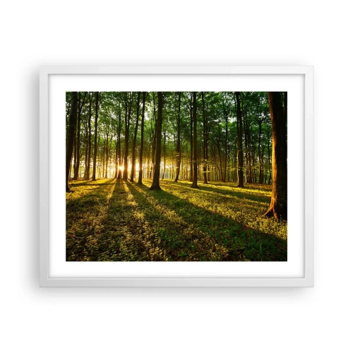 Affiche dans un cadre blanc - Poster - Toutes les photographies de printemps - 50x40 cm
