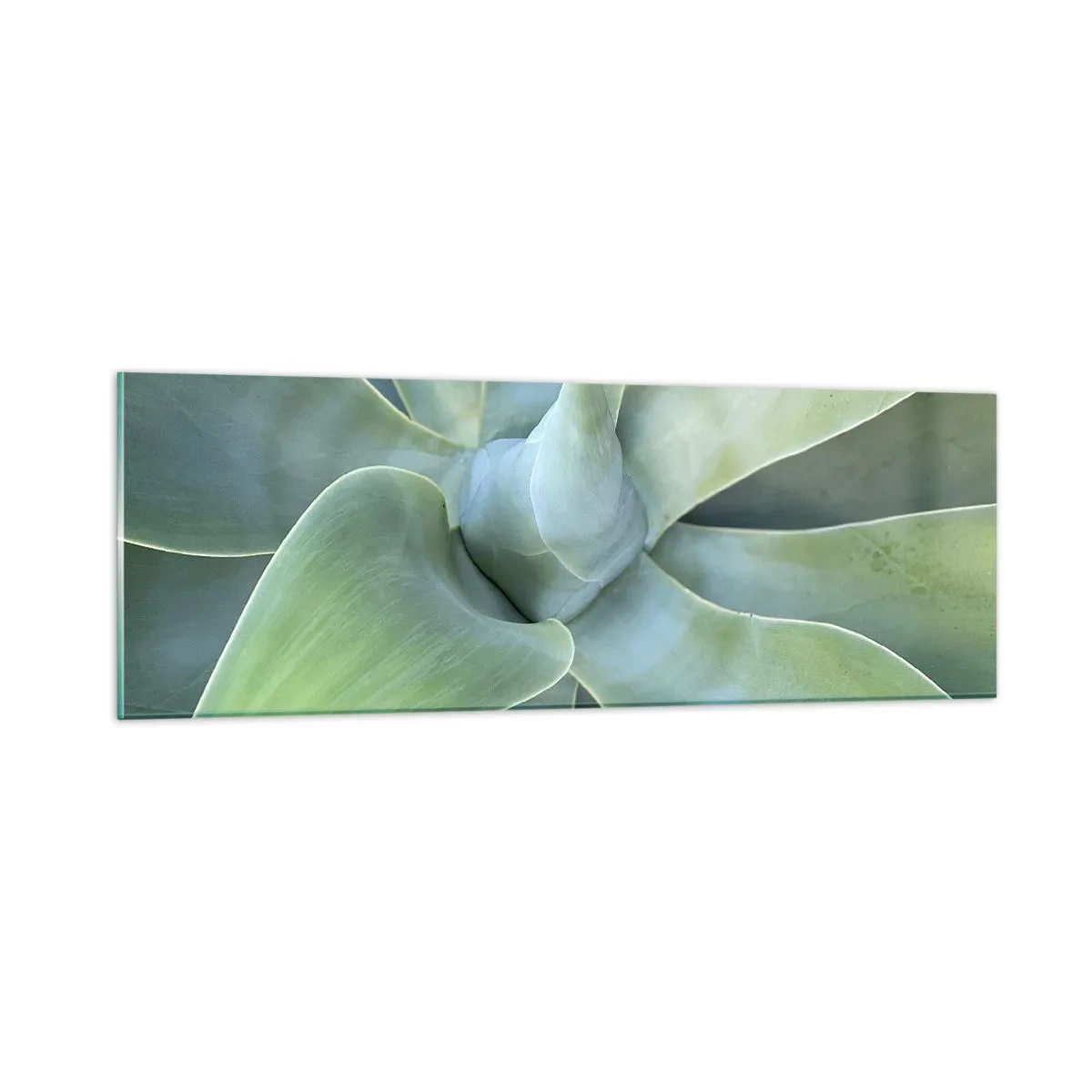 Impression sur verre - Image sur verre - La naissance de la verdure - 90x30 cm