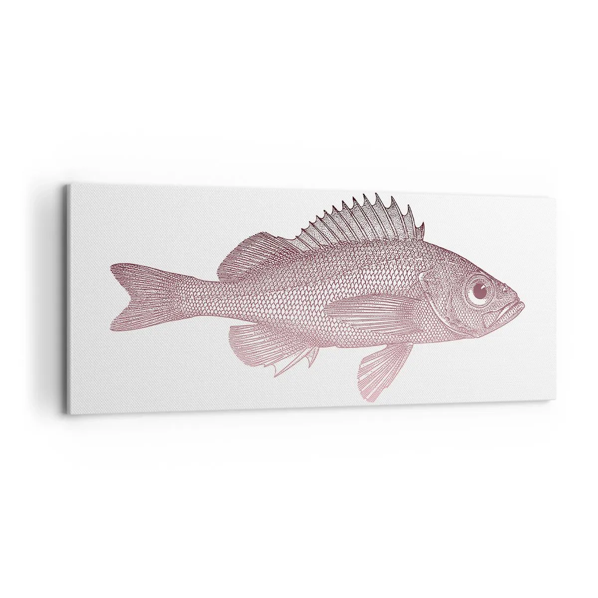 Impression sur toile - Image sur toile - Poisson aux grands yeux - 100x40 cm