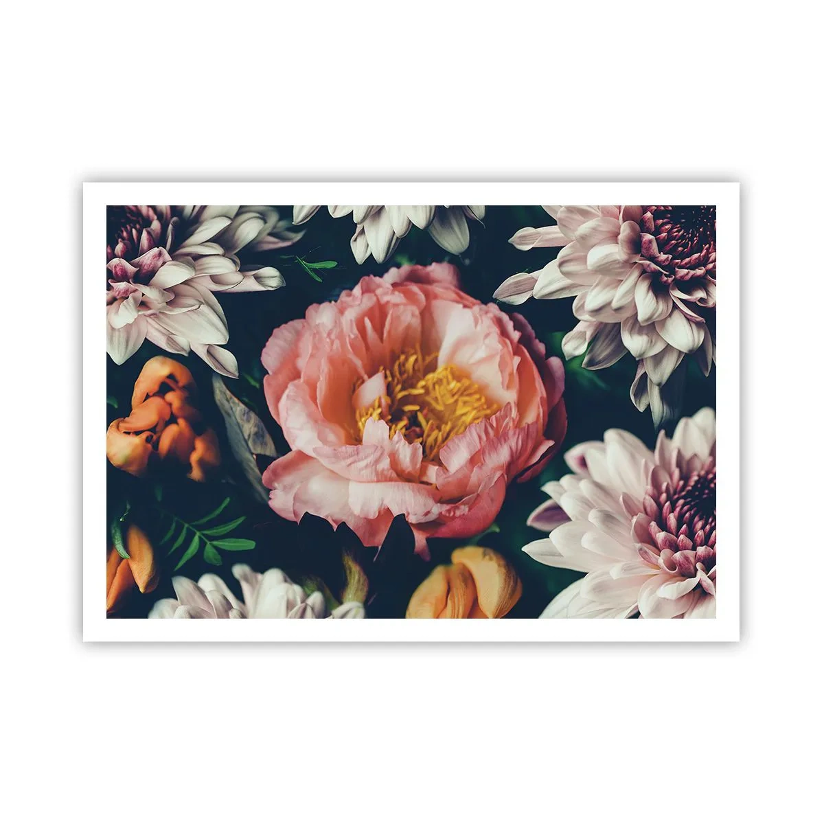 Affiche - Poster - Composition florale avec pivoines et chrysanthèmes sur fond sombre - 100x70cm - Splendeur baroque - Décoration murale moderne pour le salon et la chambre ARTTOR