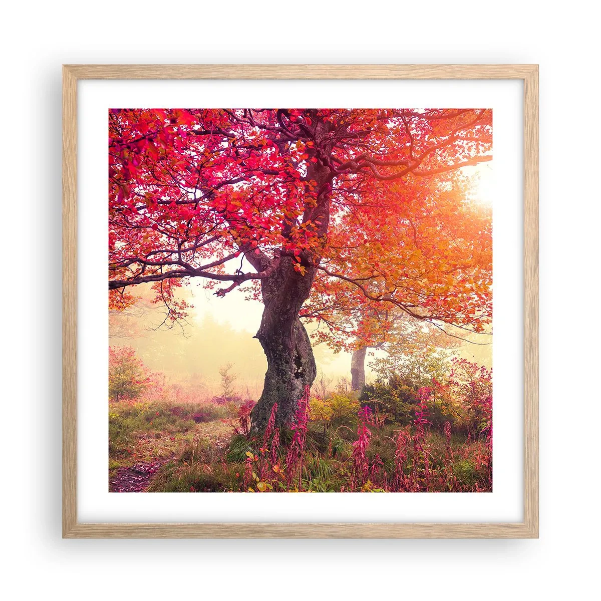 Affiche dans un chêne clair - Poster - Frénésie de floraison - 50x50 cm