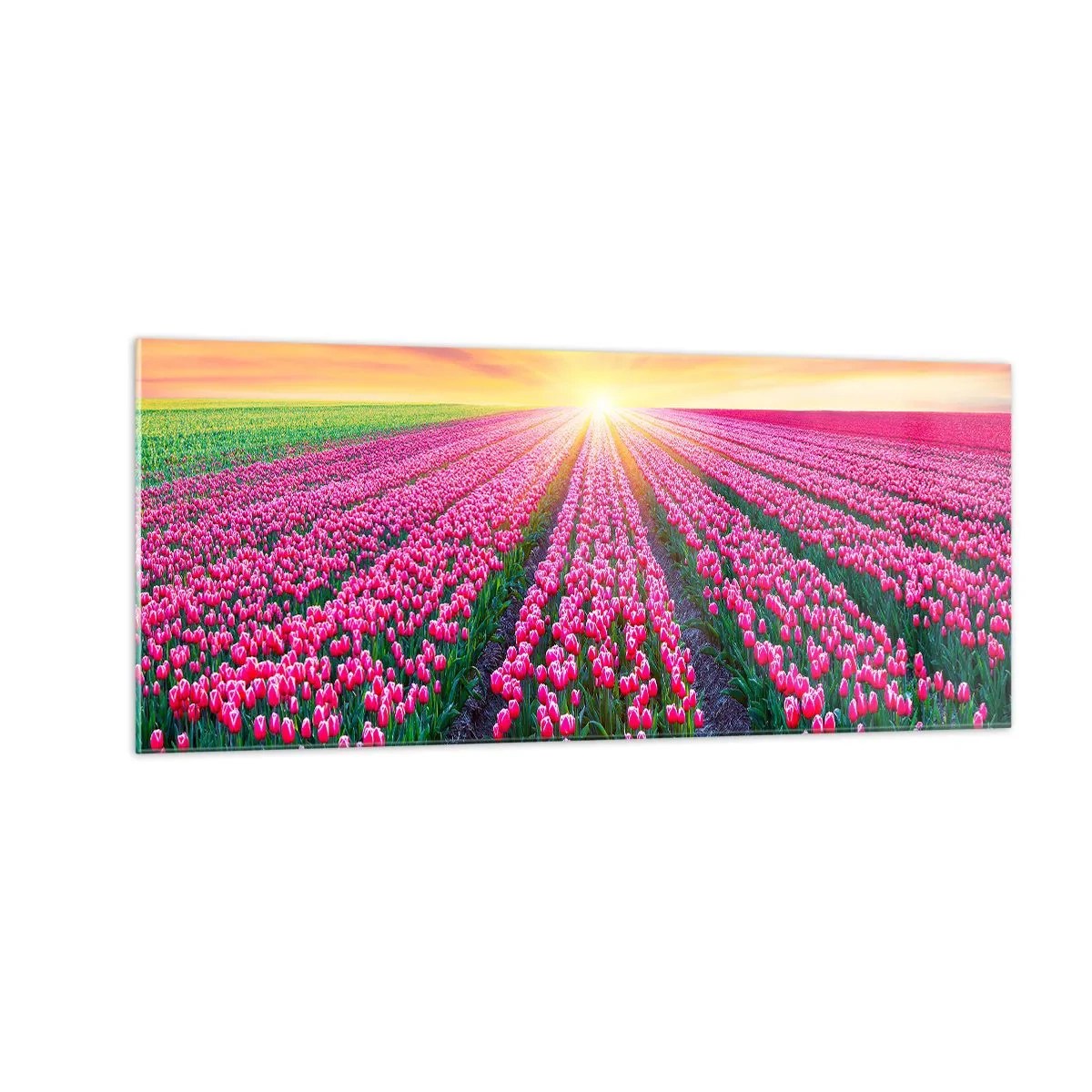 Impression sur verre - Image sur verre - Ferme de la beauté - 100x40 cm