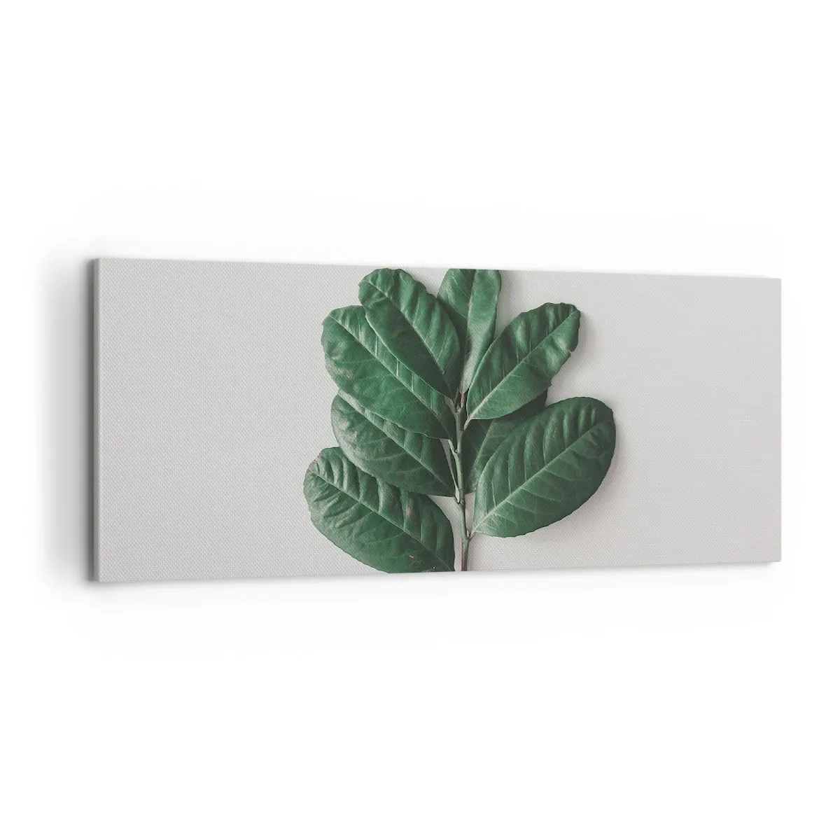 Impression sur toile - Image sur toile - Dessin de la nature elle-même - 100x40 cm