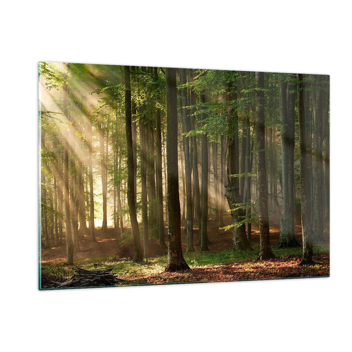 Impression sur verre - Image sur verre - Les rayons du soleil brillent à travers les arbres de la forêt - 120x80cm - Rayon d'un matin de printemps - Décoration murale moderne pour le salon et la chambre ARTTOR