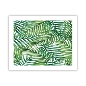 Affiche - Poster - Sous la canopée verte - 50x40 cm