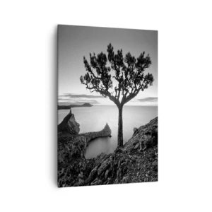 Impression sur toile - Image sur toile - Paysage noir et blanc avec un arbre solitaire sur une falaise au-dessus de la mer - 70x100cm - Paix jusqu'à l'horizon - Décoration murale moderne pour le salon et la chambre ARTTOR