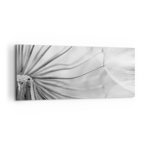Impression sur toile - Image sur toile - Pissenlits délicats dans des tons noir et blanc - 120x50cm - Aigrette avant son envol - Décoration murale moderne pour le salon et la chambre ARTTOR